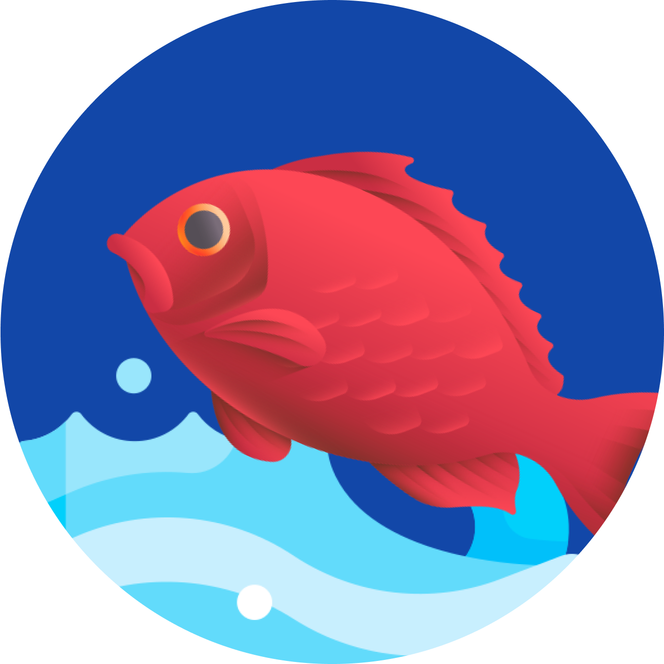 Fresh Buying & Distribution Network